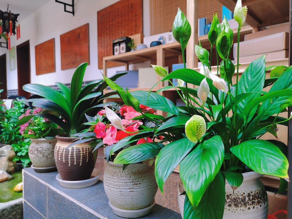 Фото Chengdu Wenjun courtyard Hotel