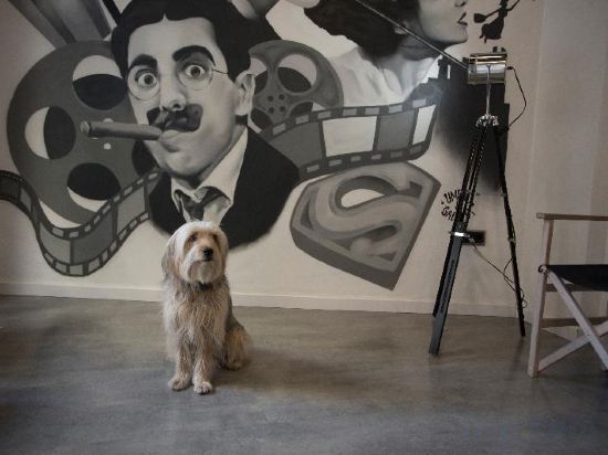 Фото Casual del Cine Valencia