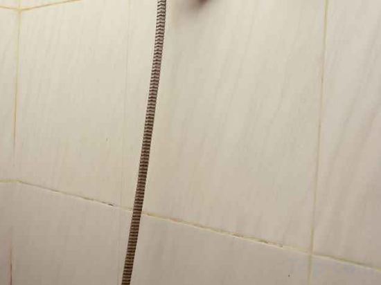 Фото 151553818119