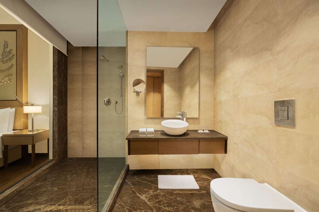 Фото Radisson Blu Hotel, New Delhi Dwarka
