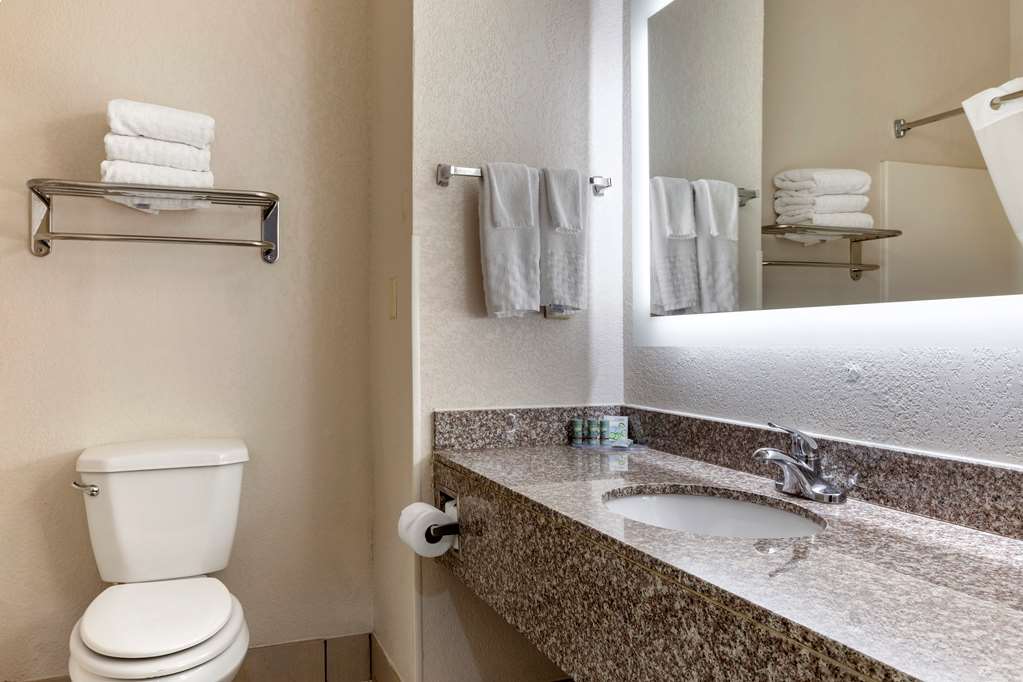Фото Best Western Palo Duro Canyon Inn & Suites