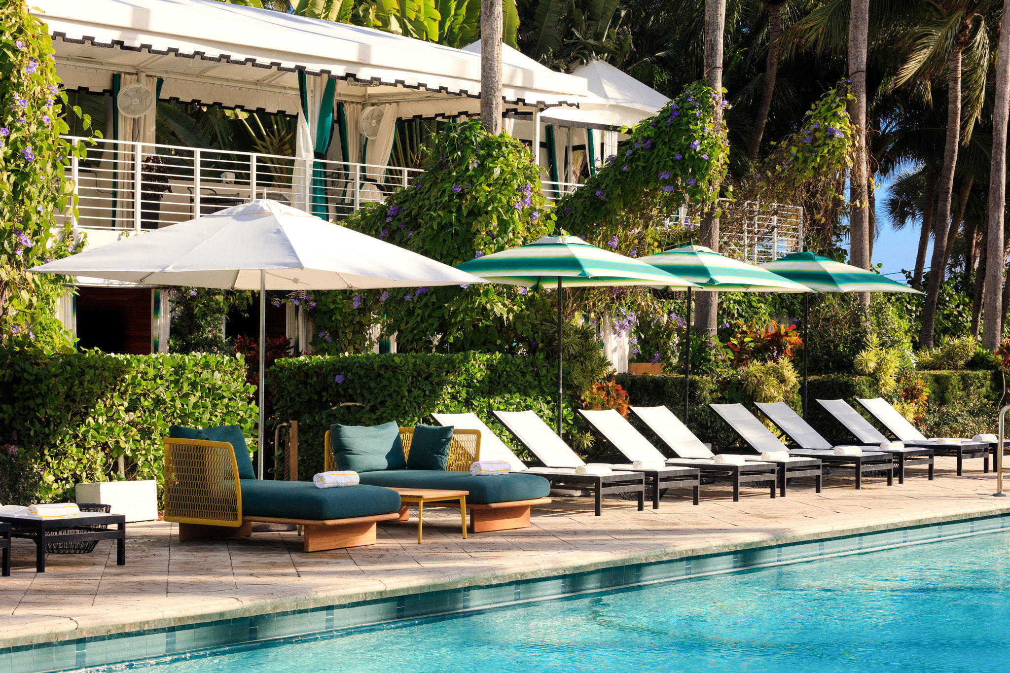 Фото Kimpton Surfcomber Hotel, an Ihg Hotel