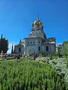Кедр