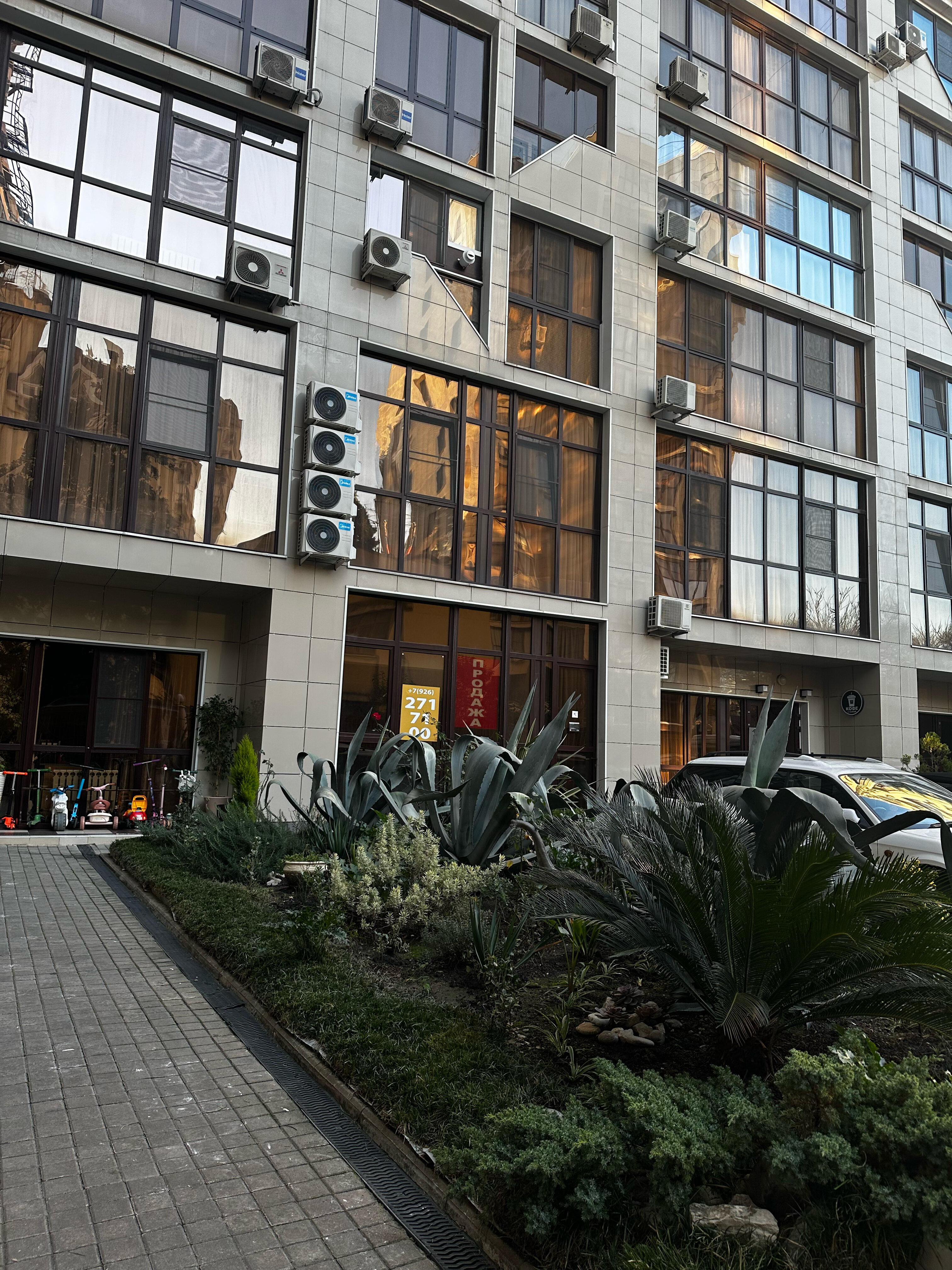 Фото Rose Del Mare