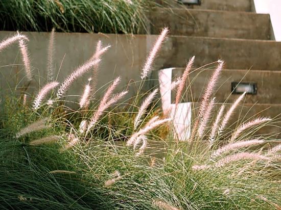 Фото Rimbun Canggu Hotel & Villa