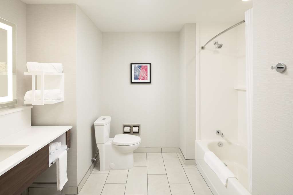 Фото Hampton Inn & Suites Rochester Downtown