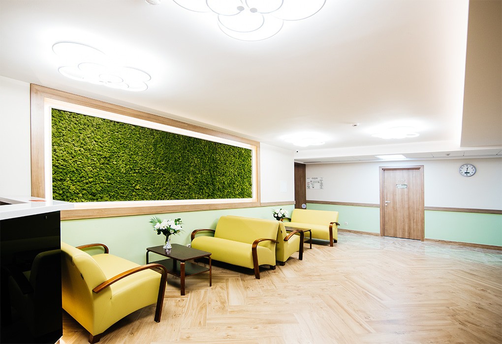 Фото Арника