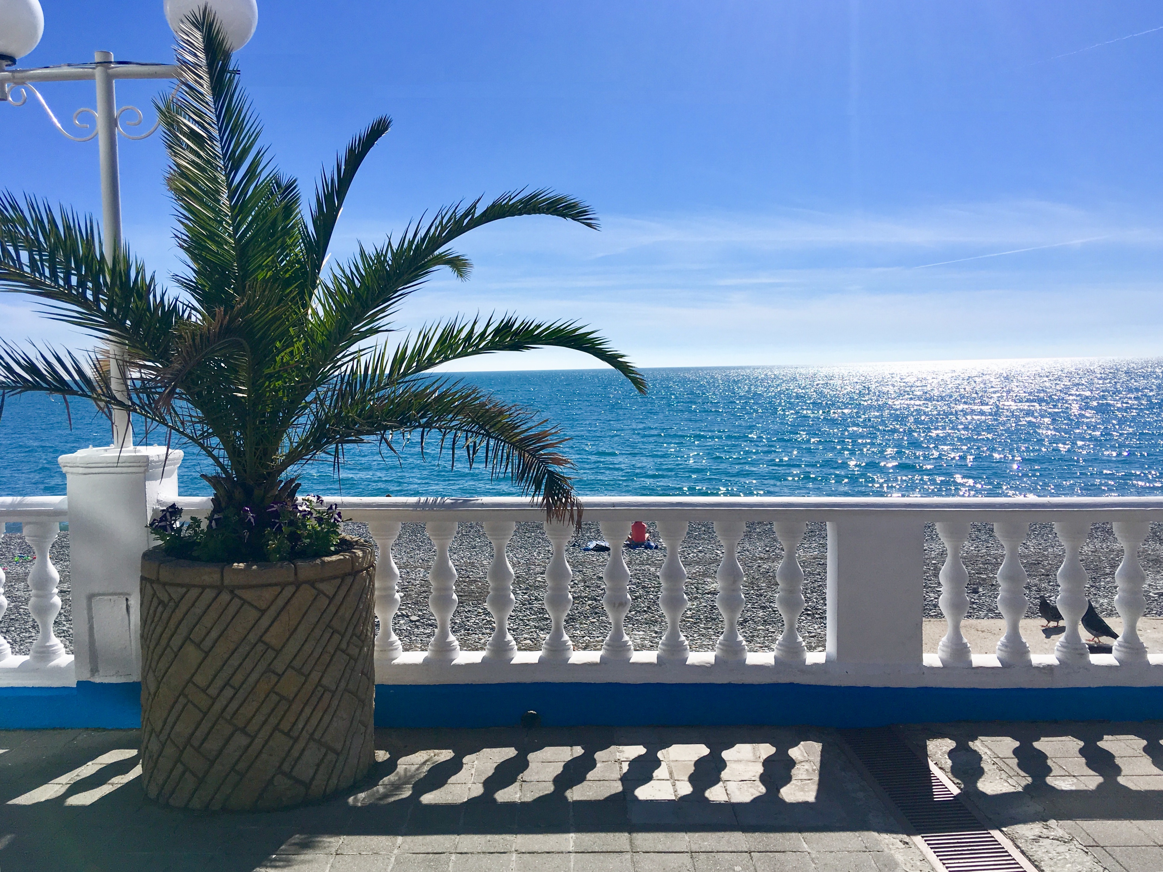 Фото Солнечный