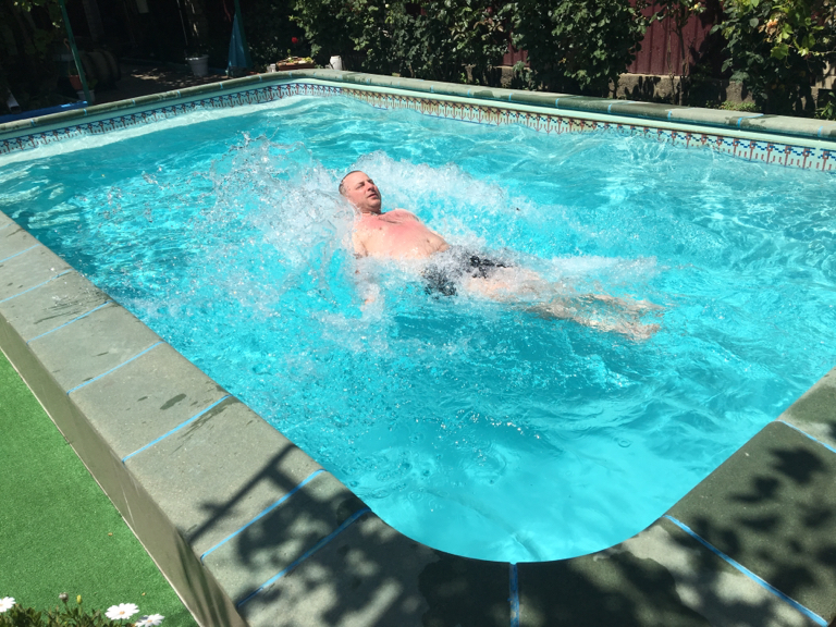 Фото Серебристая Чайка