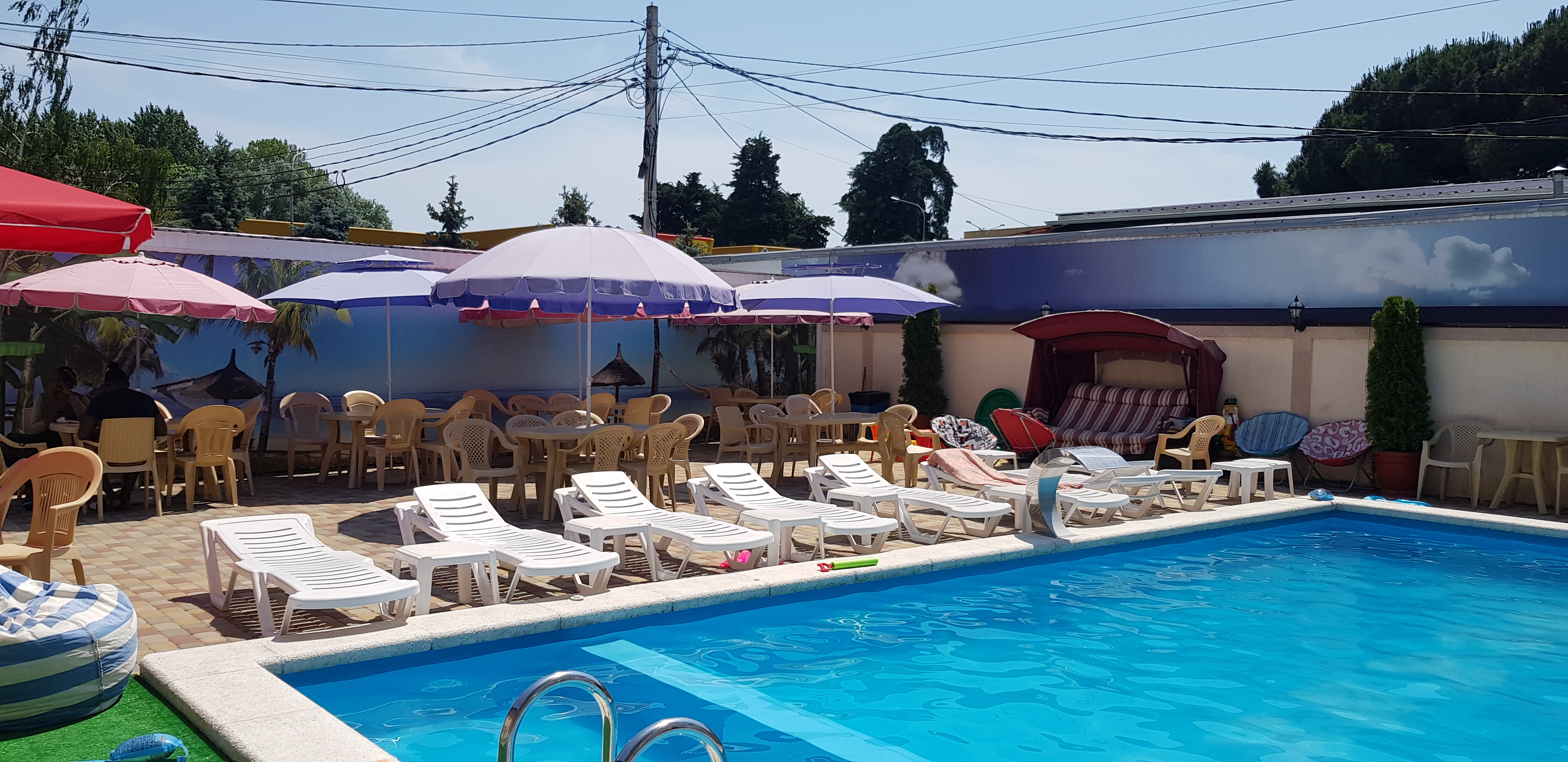 Фото Феникс