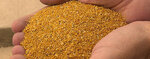 Loyal Feed Raw Material (Ankara Province, Etimesgut District, Altay Mah., Orhan Bey Cad., 1), fodder and feed additives