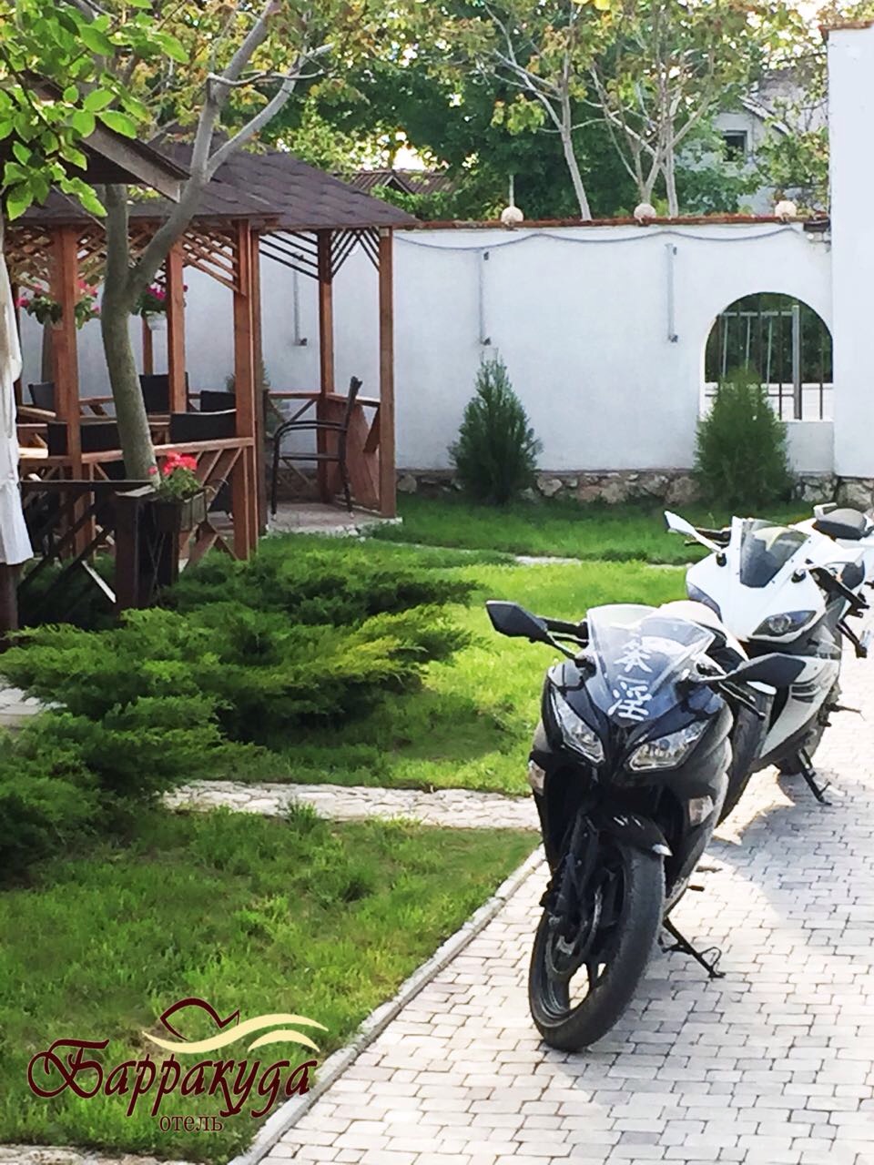 Фото Барракуда