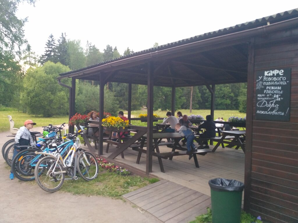 Кафе в павловске