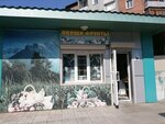 Magazin produktov (Gagarina Street, 64Г), greengrocery