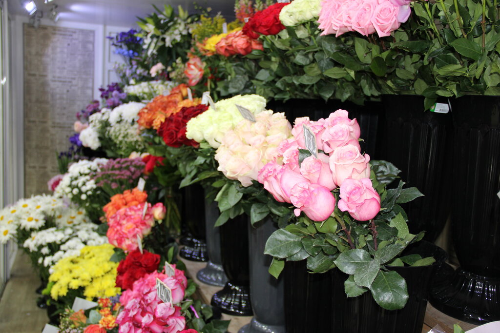 Доставка цветов и букетов Оазис, Белгород, фото