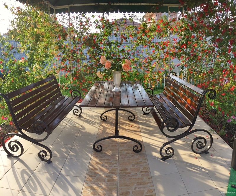 Фото Лучезарный