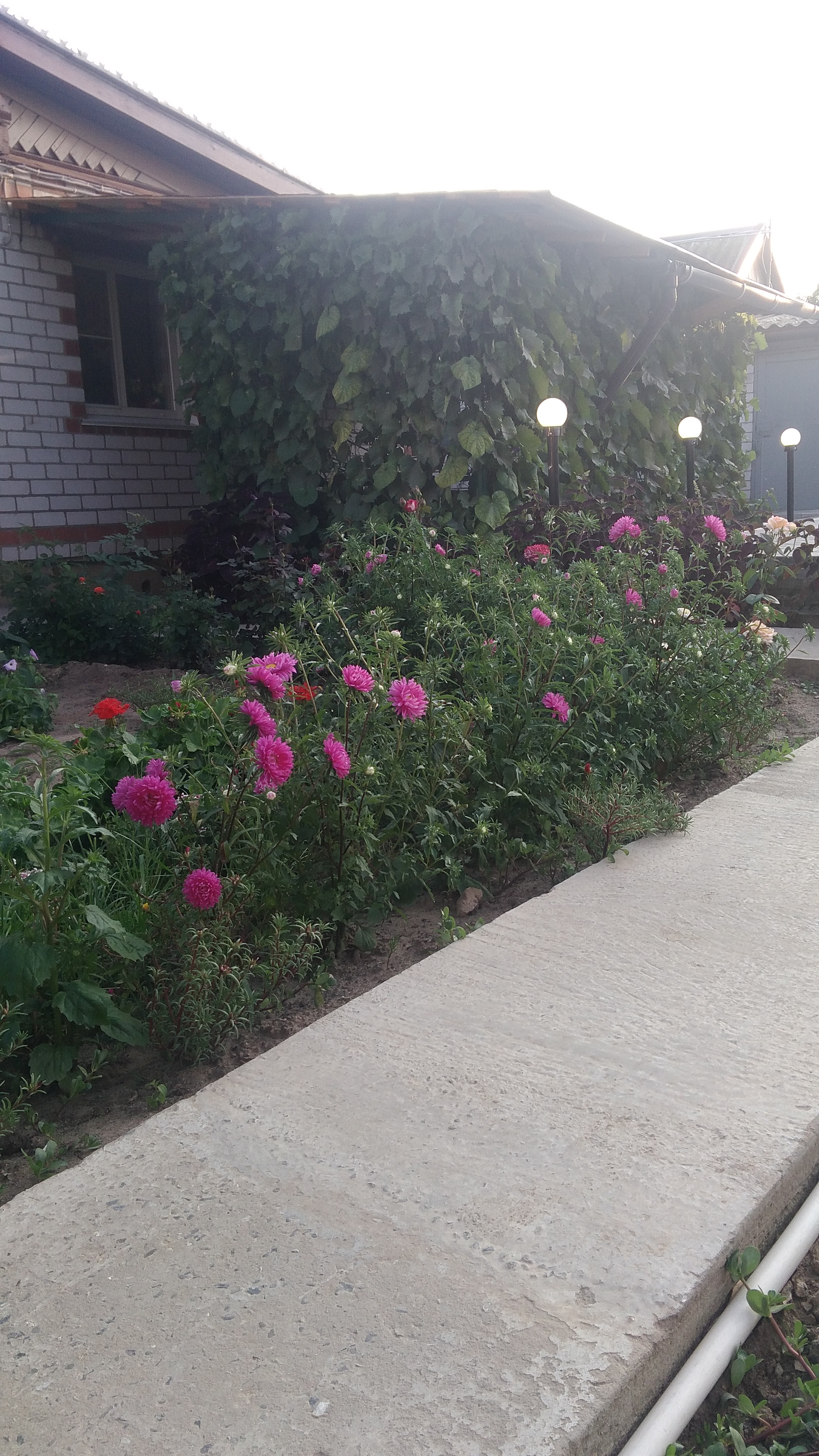 Фото В гостях у бабы Поли