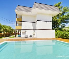 Фото Дублин Дельфин