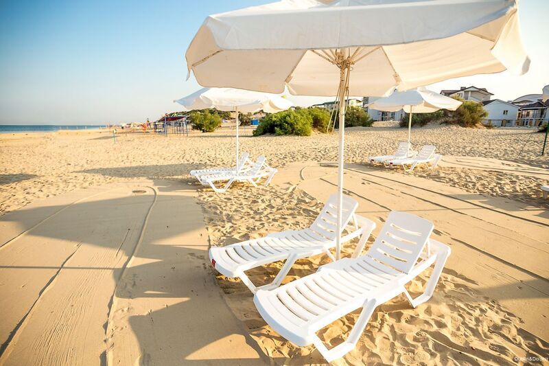 Фото Дублин Дельфин