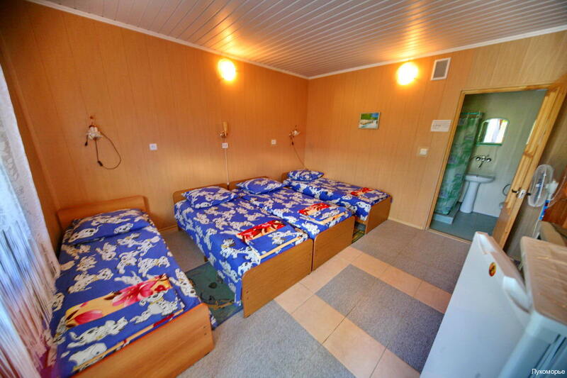 Фото Лукоморье