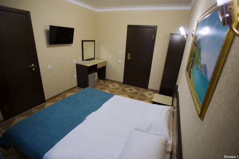 Фото Венера-1