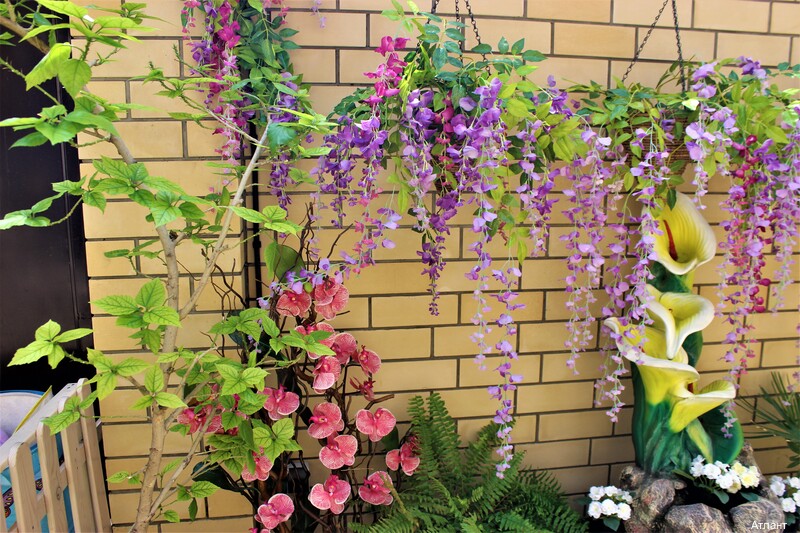 Фото Атлант