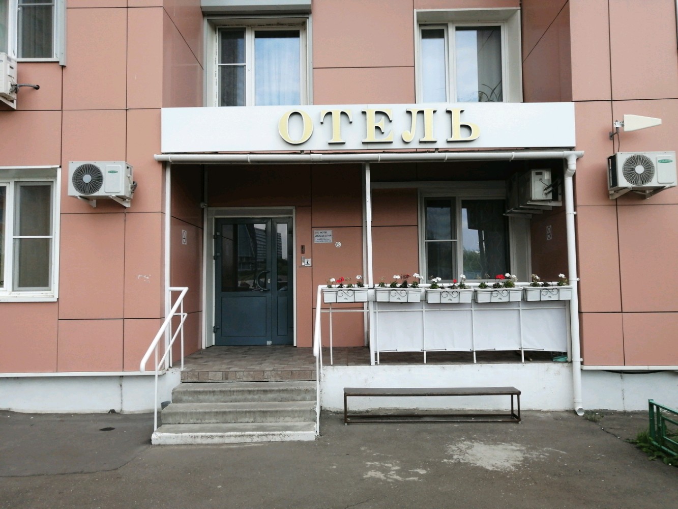 Фото Crocus Star