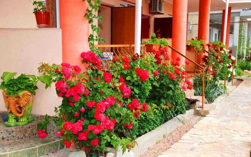 Фото отеля 4