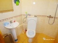 Фото Жасмин