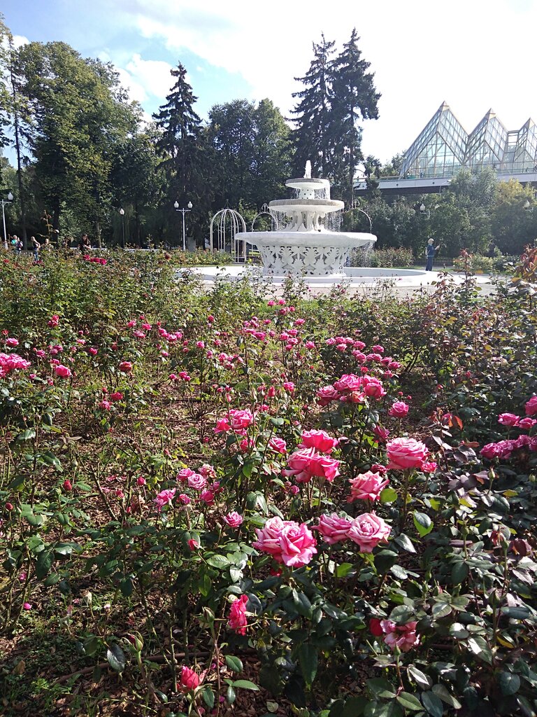 Park Розарий, Moscow, photo