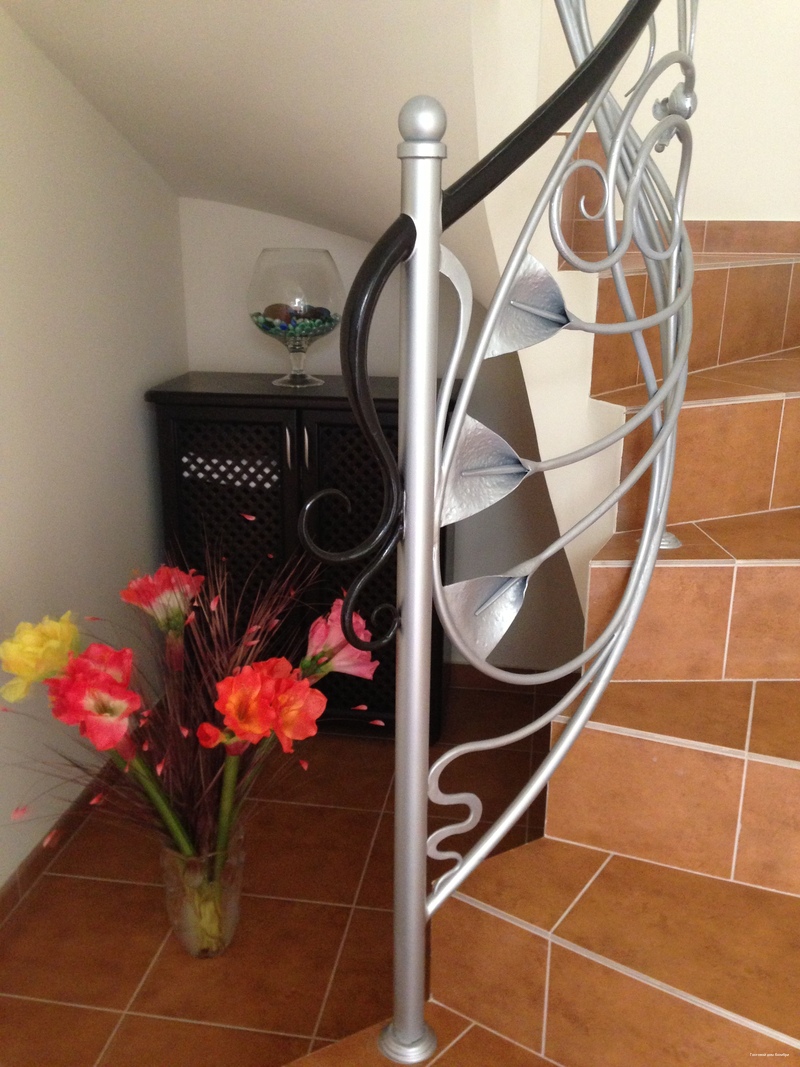 Фото Колибри