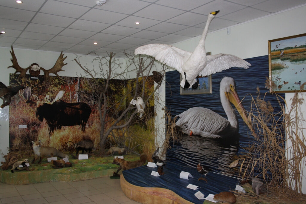 Museum МБУК Крутинский историко-краеведческий музей, Omsk Oblast, photo
