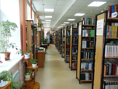 Библиотека Центральная городская библиотека имени Петра Комарова г. Хабаровска, Хабаровск, фото