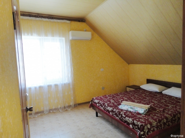 Фото Фортуна