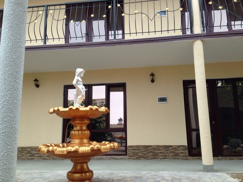 Фото Колибри