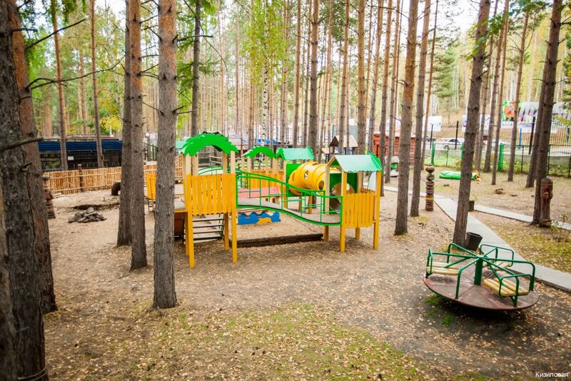 Фото Кизиловая