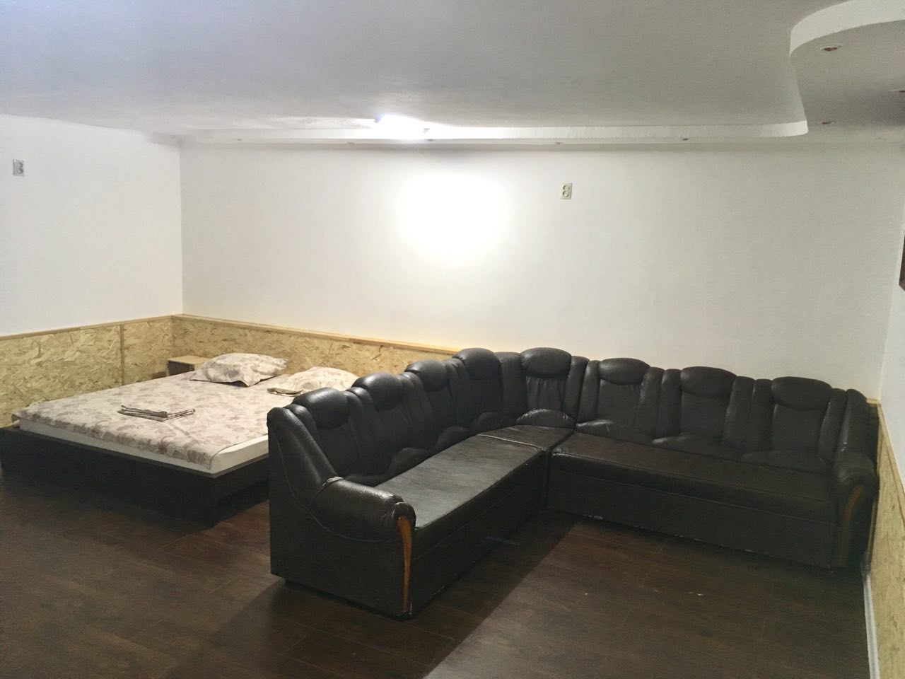 Фото Тополя