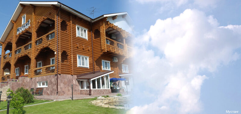 Фото Мустанг