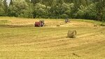 АО Ущевицы (derevnya Ushchevitsy, 44), intensive animal farming