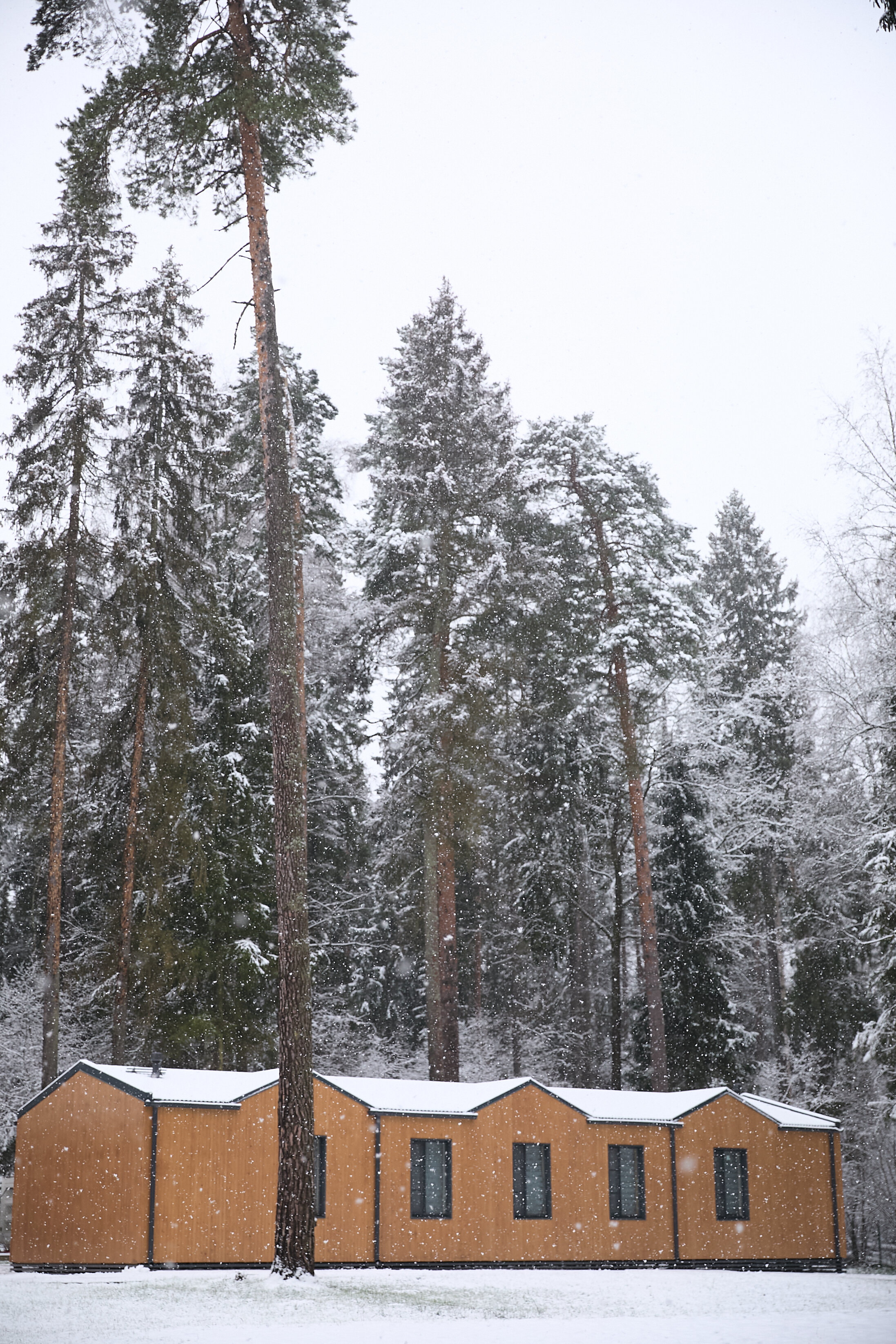 Фото Рябиновый берег