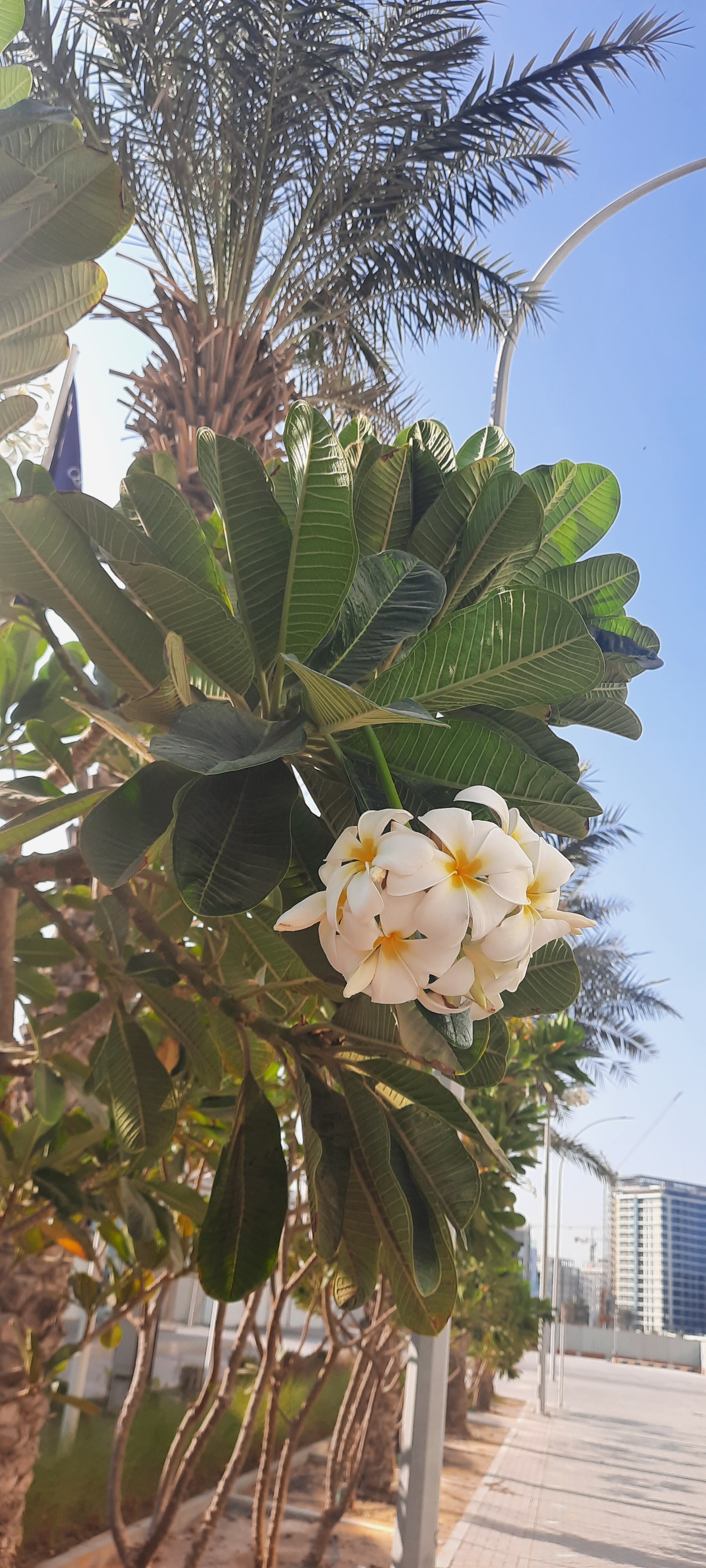 Фото Queen Elizabeth 2