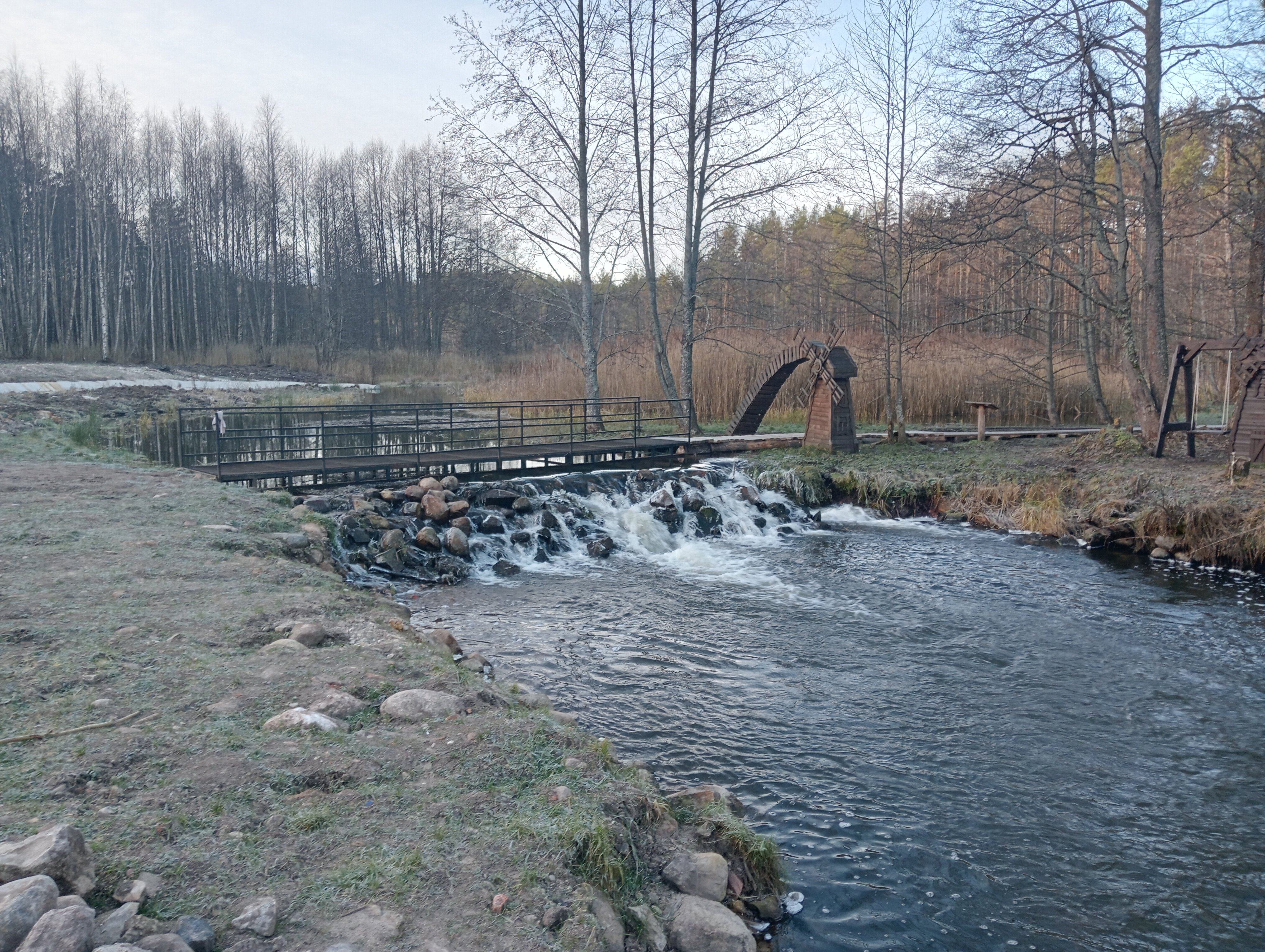 Фото Хитрый Лис