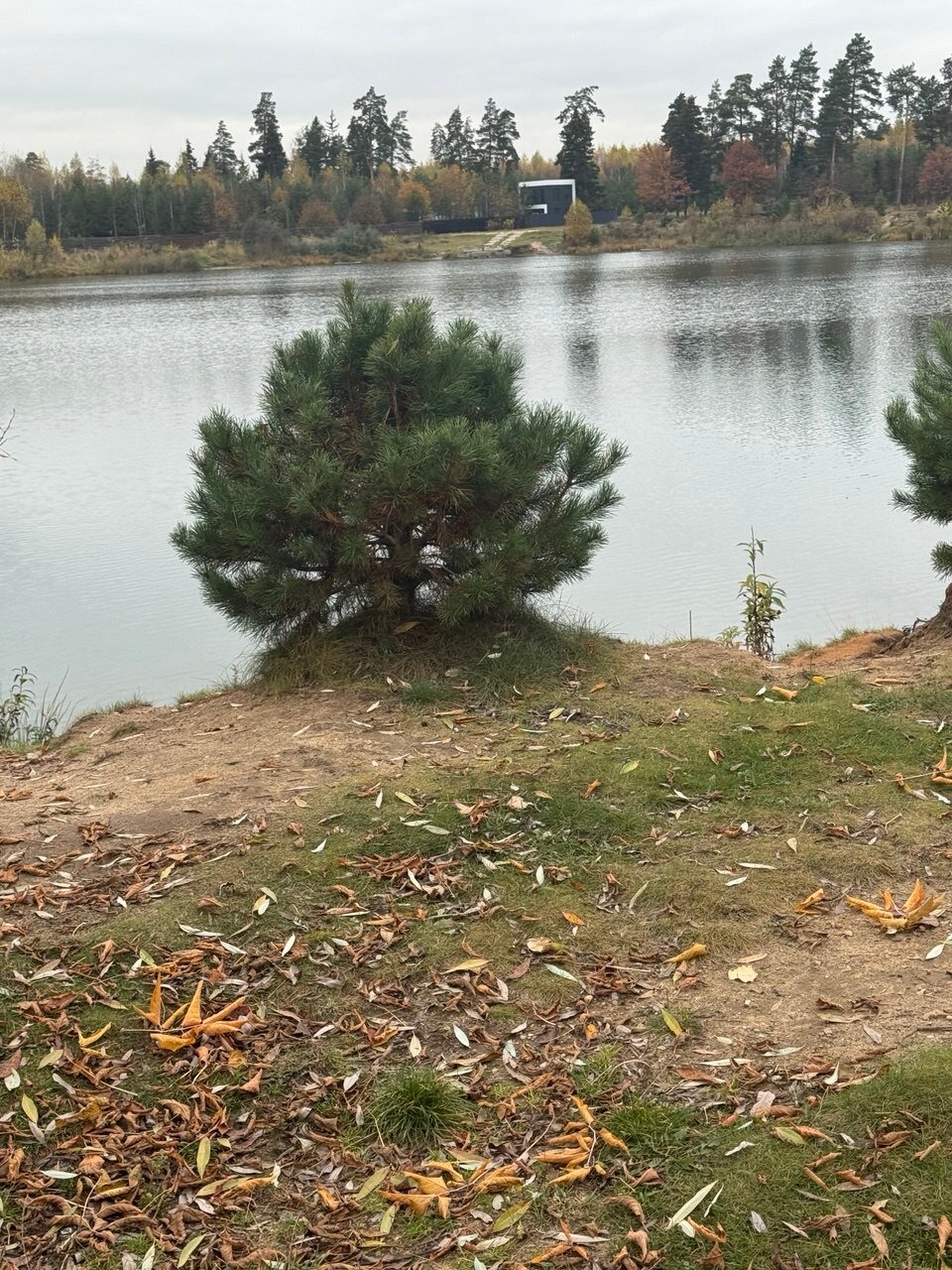 Фото Райский уголок