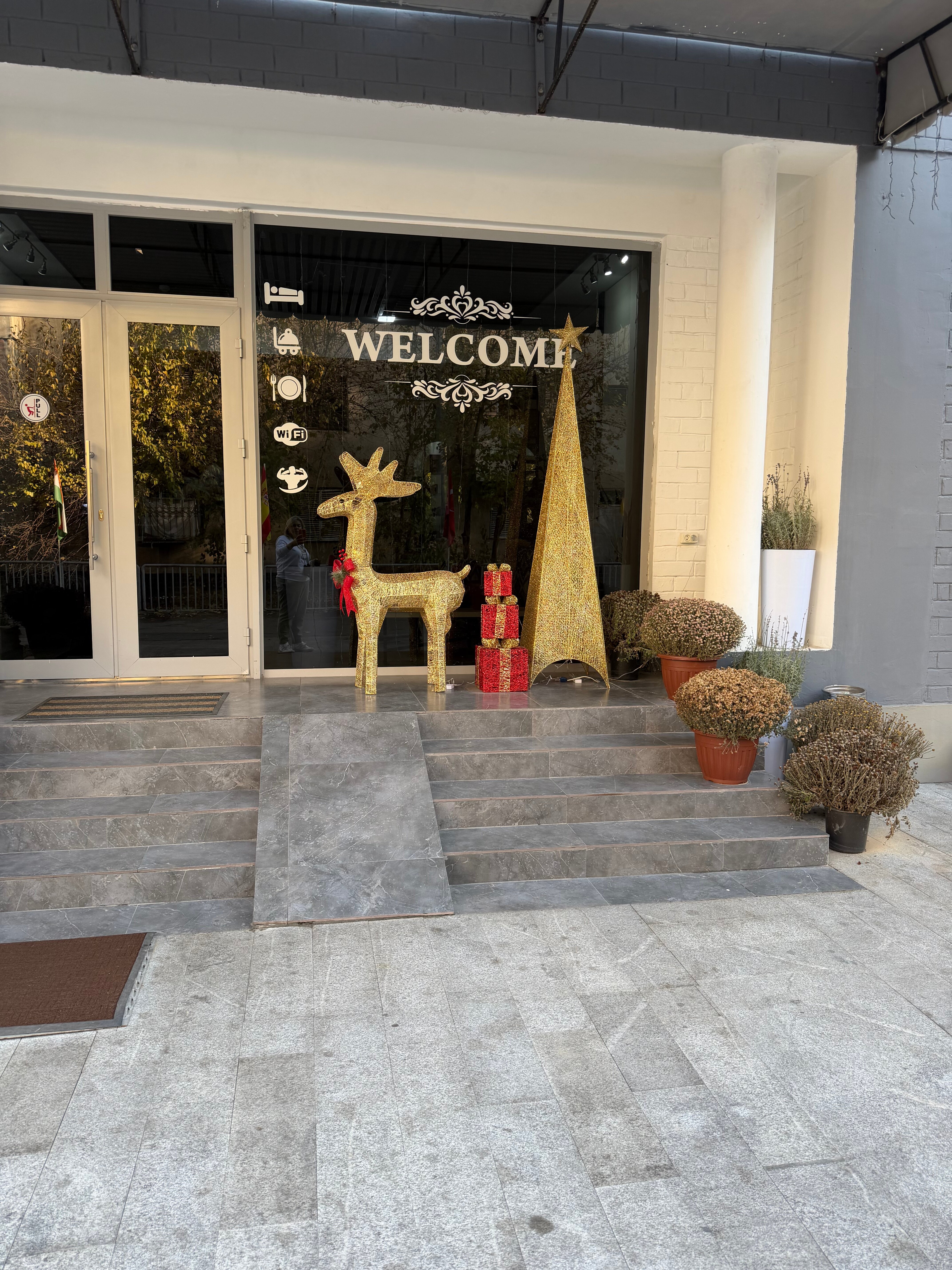 Фото Solief Hotel