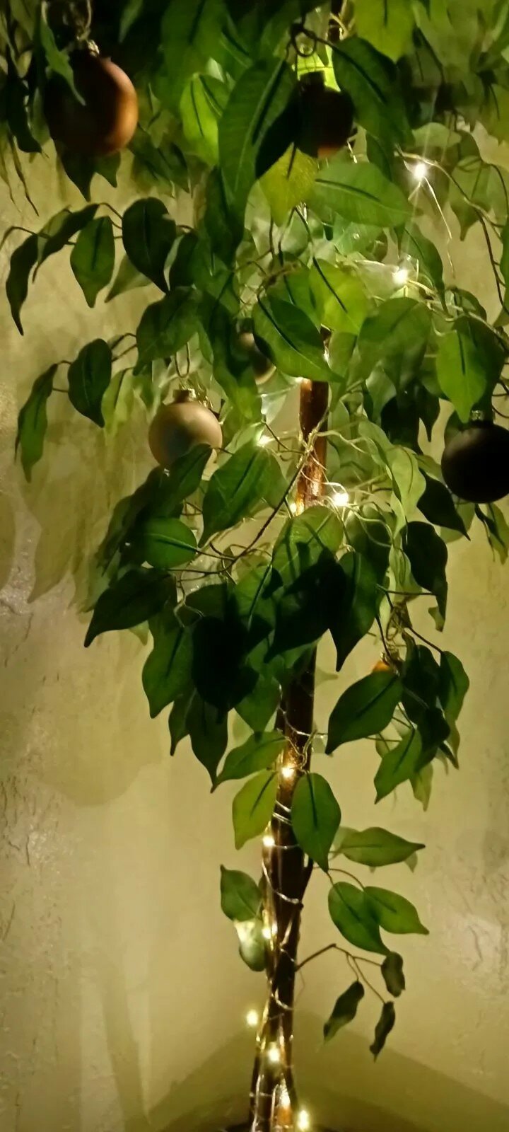 Фото Light House