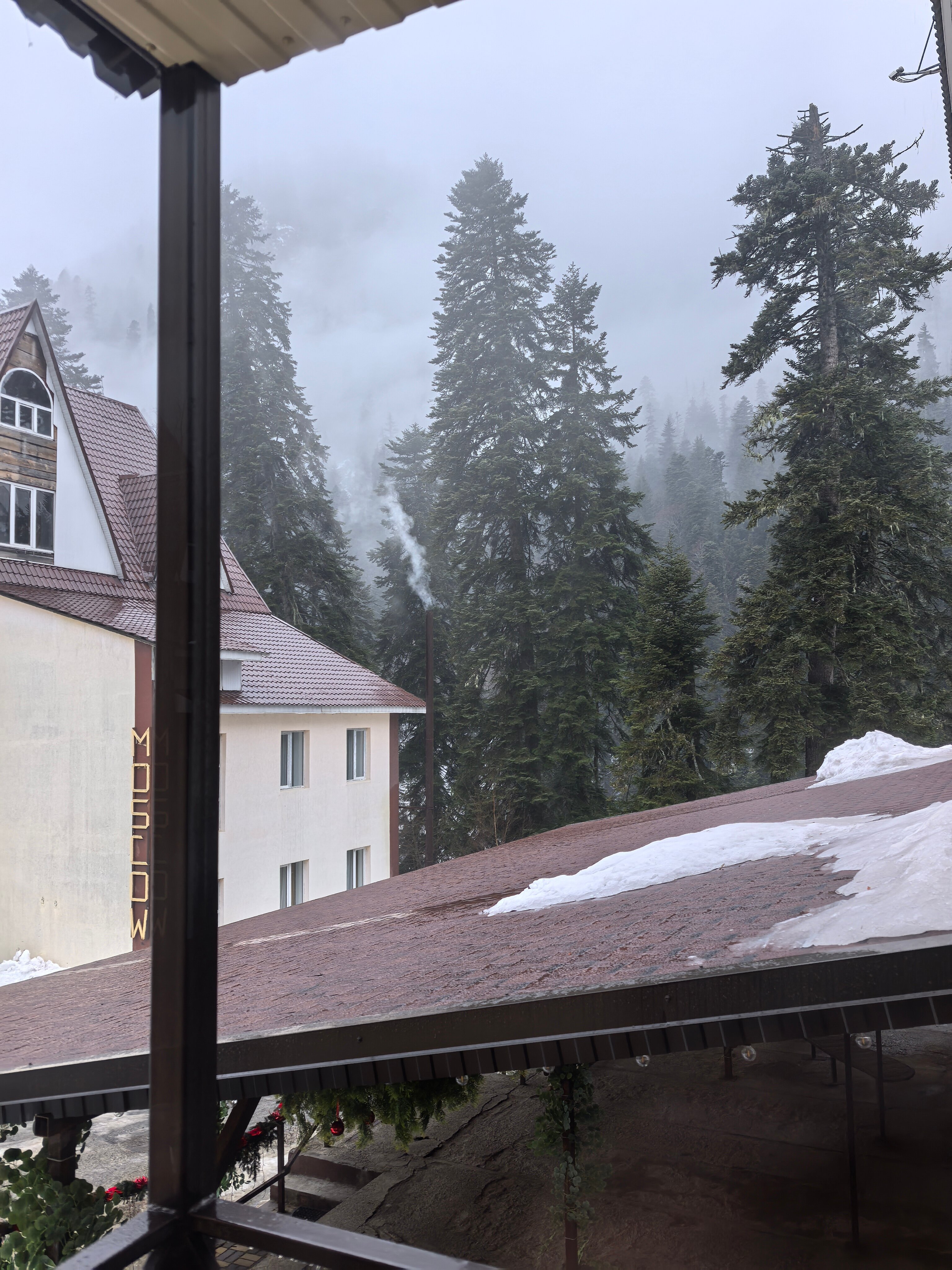 Фото Дубки Snow Point