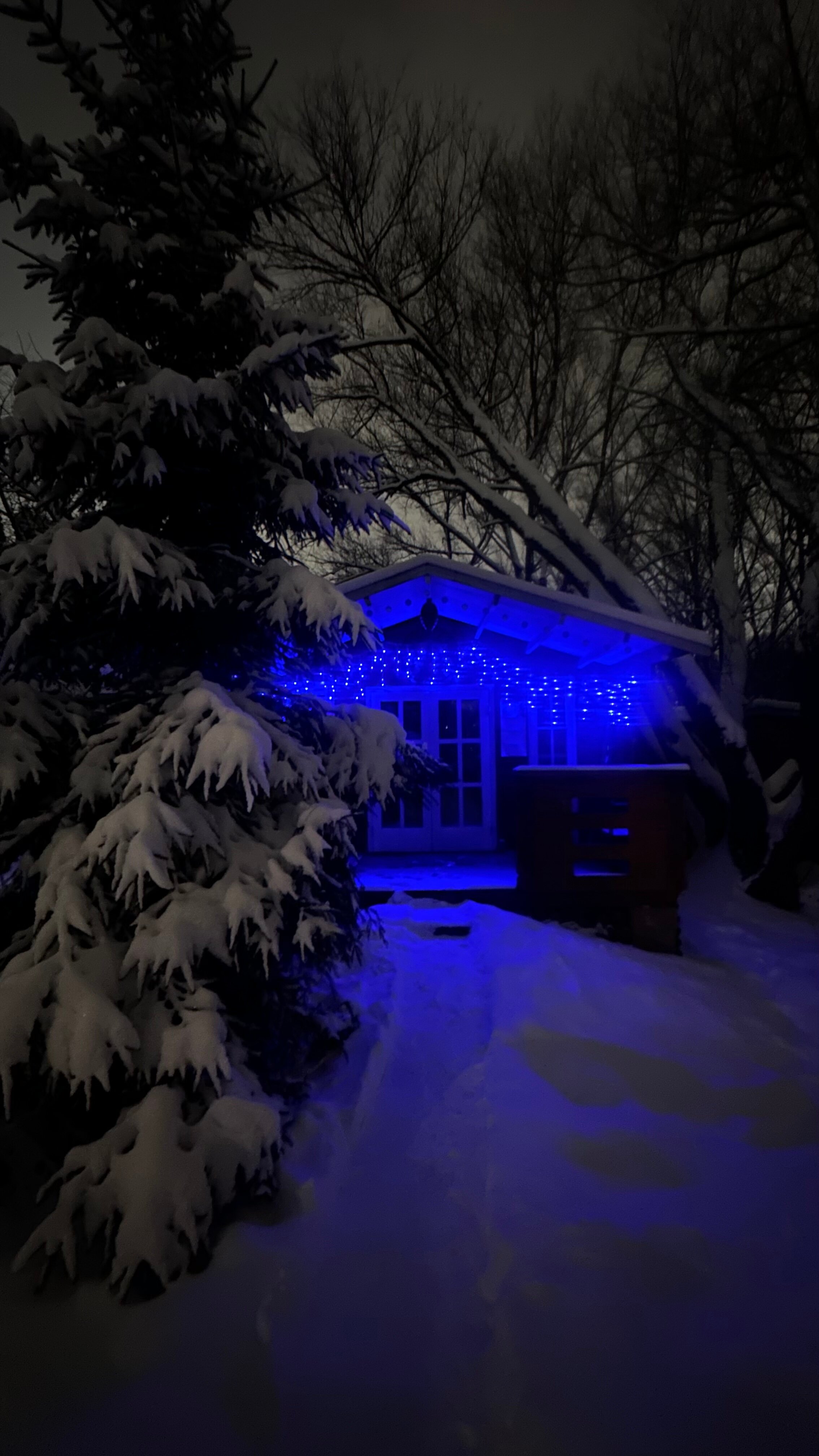 Фото Дача в Переделкино