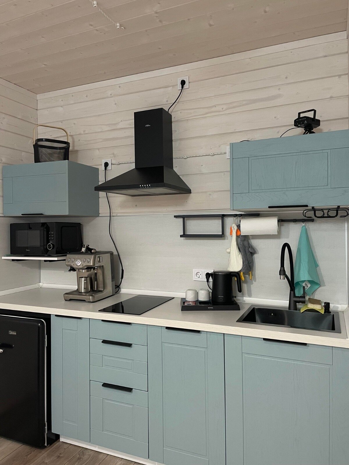 Фото Дикий гусь