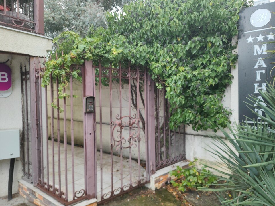 Фото Магнат