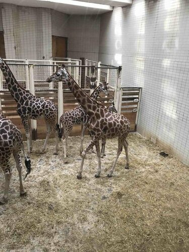 Гостиница Pension Medovil в Либерце